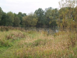 Image on trail
